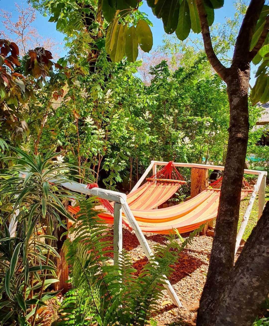 Victoria Falls Backpackers Lodge- Camp Sites Exteriér fotografie